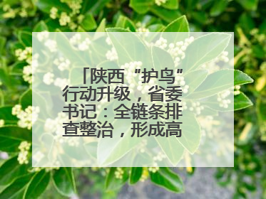 陕西“护鸟”行动升级，省委书记：全链条排查整治，形成高压震慑态势