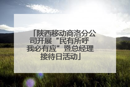 陕西移动商洛分公司开展“民有所呼 我必有应”暨总经理接待日活动