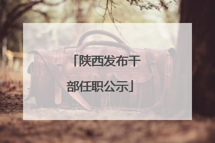 陕西发布干部任职公示