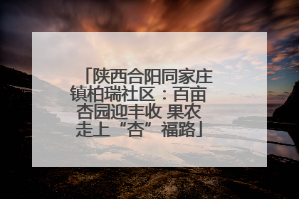 陕西合阳同家庄镇柏瑞社区：百亩杏园迎丰收 果农走上“杏”福路