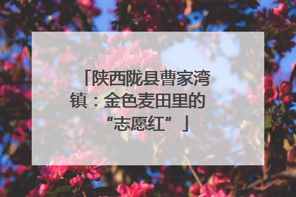 陕西陇县曹家湾镇：金色麦田里的“志愿红”