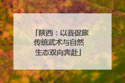 陕西：以赛促旅 传统武术与自然生态双向奔赴