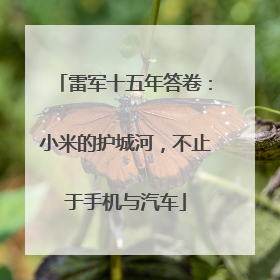 雷军十五年答卷：小米的护城河，不止于手机与汽车