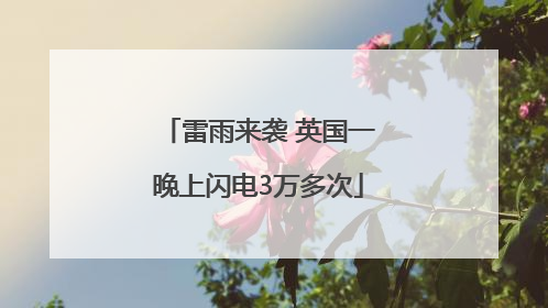 雷雨来袭 英国一晚上闪电3万多次
