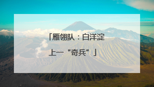 雁翎队：白洋淀上一“奇兵”
