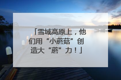 雪域高原上，他们用“小蘑菇”创造大“蘑”力！