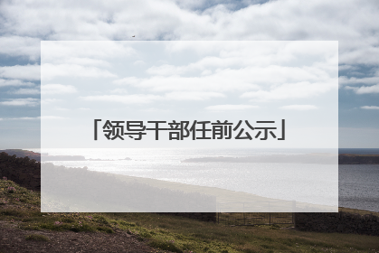 领导干部任前公示