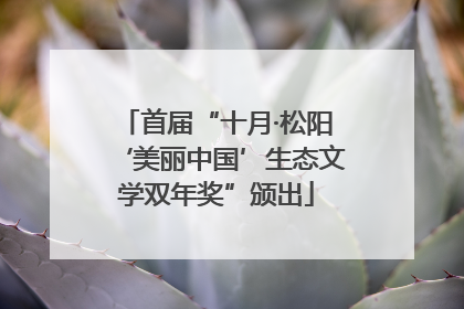 首届“十月·松阳‘美丽中国’生态文学双年奖”颁出