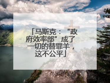 马斯克：“政府效率部”成了一切的替罪羊，这不公平