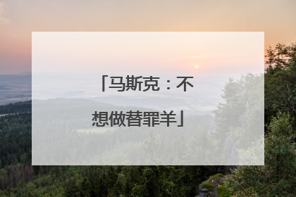 马斯克：不想做替罪羊