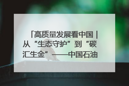 高质量发展看中国｜从“生态守护”到“碳汇生金”——中国石油大庆油田绿色蝶变
