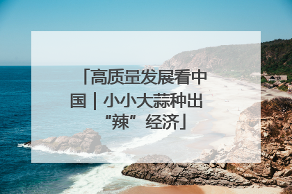 高质量发展看中国｜小小大蒜种出“辣”经济