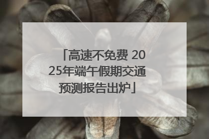 高速不免费 2025年端午假期交通预测报告出炉