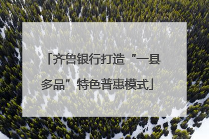 齐鲁银行打造“一县多品”特色普惠模式
