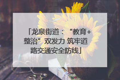 龙泉街道：“教育+整治”双发力 筑牢道路交通安全防线
