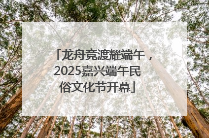 龙舟竞渡耀端午，2025嘉兴端午民俗文化节开幕