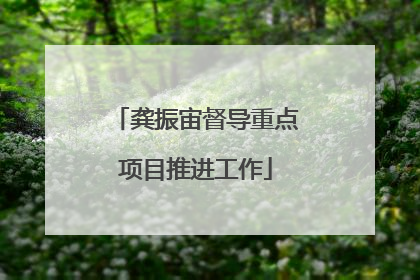 龚振宙督导重点项目推进工作