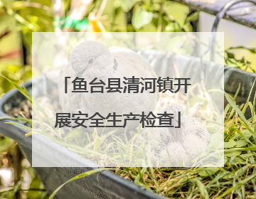 鱼台县清河镇开展安全生产检查