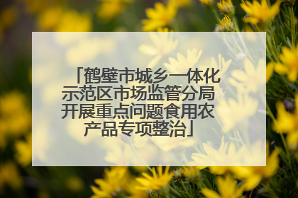 鹤壁市城乡一体化示范区市场监管分局开展重点问题食用农产品专项整治