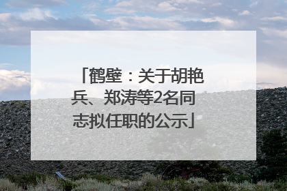 鹤壁：关于胡艳兵、郑涛等2名同志拟任职的公示