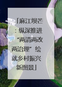 麻江坝芒：纵深推进“两清两改两治理”绘就乡村振兴新图景