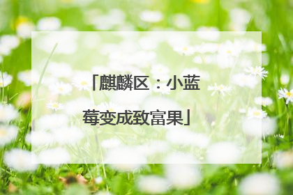麒麟区：小蓝莓变成致富果