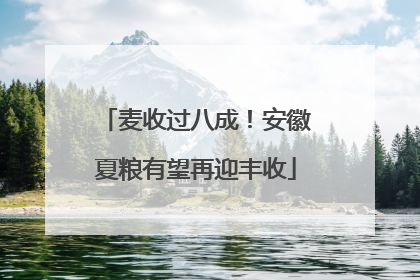 麦收过八成！安徽夏粮有望再迎丰收