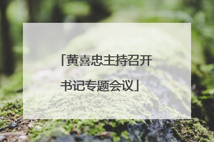 黄喜忠主持召开书记专题会议