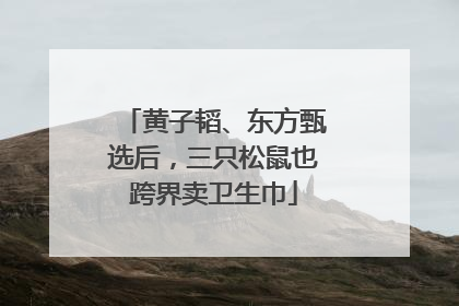 黄子韬、东方甄选后，三只松鼠也跨界卖卫生巾
