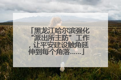 黑龙江哈尔滨强化“派出所主防”工作，让平安建设触角延伸到每个角落……