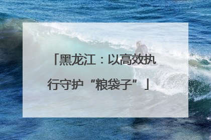 黑龙江：以高效执行守护“粮袋子”