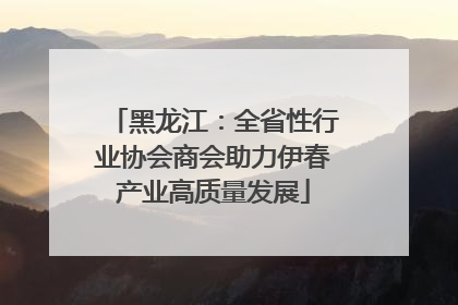 黑龙江：全省性行业协会商会助力伊春产业高质量发展