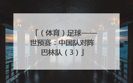 （体育）足球——世预赛：中国队对阵巴林队（3）