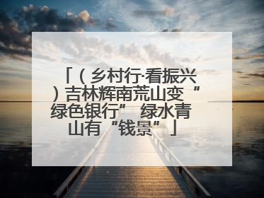 （乡村行·看振兴）吉林辉南荒山变“绿色银行” 绿水青山有“钱景”