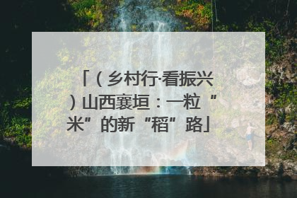 （乡村行·看振兴）山西襄垣：一粒“米”的新“稻”路