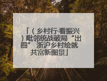 （乡村行·看振兴）毗邻统战破局“出圈” 浙沪乡村绘就共富新图景