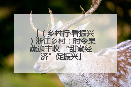（乡村行·看振兴）浙江乡村：时令果蔬迎丰收 “甜蜜经济”促振兴