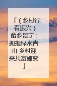 （乡村行·看振兴）畲乡景宁：拥抱绿水青山 乡村迎来共富蝶变