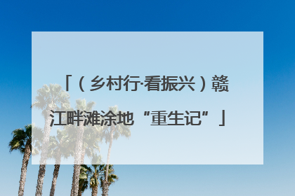 （乡村行·看振兴）赣江畔滩涂地“重生记”