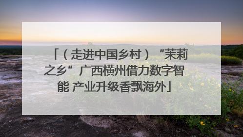 （走进中国乡村）“茉莉之乡”广西横州借力数字智能 产业升级香飘海外