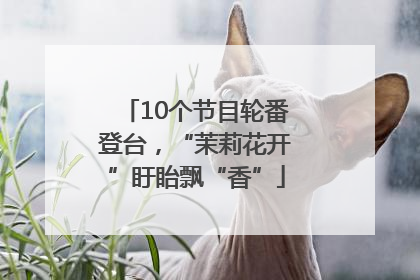 10个节目轮番登台，“茉莉花开”盱眙飘“香”