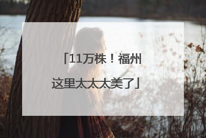 11万株！福州这里太太太美了