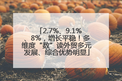 2.7%、9.1%、8%，增长平稳！多维度“数”读外贸多元发展、综合优势明显