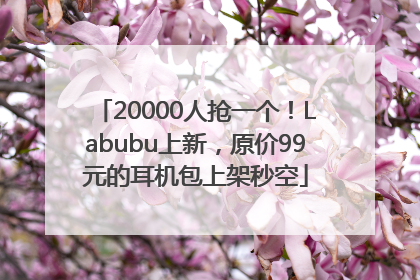 20000人抢一个！Labubu上新，原价99元的耳机包上架秒空