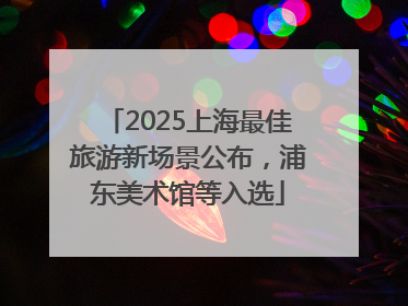 2025上海最佳旅游新场景公布，浦东美术馆等入选