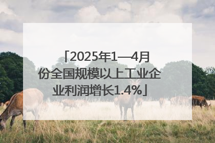 2025年1—4月份全国规模以上工业企业利润增长1.4%