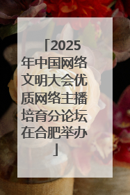 2025年中国网络文明大会优质网络主播培育分论坛在合肥举办