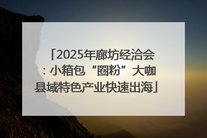 2025年廊坊经洽会：小箱包“圈粉”大咖 县域特色产业快速出海