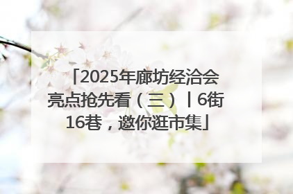 2025年廊坊经洽会亮点抢先看（三）丨6街16巷，邀你逛市集