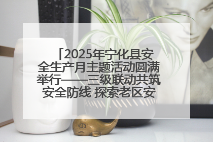2025年宁化县安全生产月主题活动圆满举行——三级联动共筑安全防线 探索老区安全发展新路径